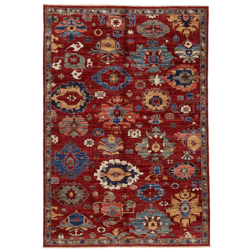 Tapis traditionnel rouge et multicolore 6 x 9 Anatolian