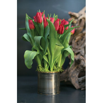 Cayder Metal Pot Planter