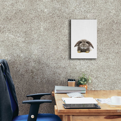 «Rabbit Ii» par Tai Prints, art mural sur toile