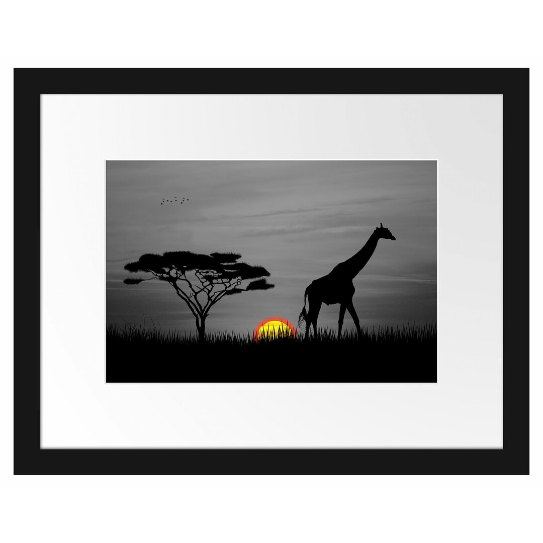 Gerahmtes Poster Giraffe im Sonnenuntergang