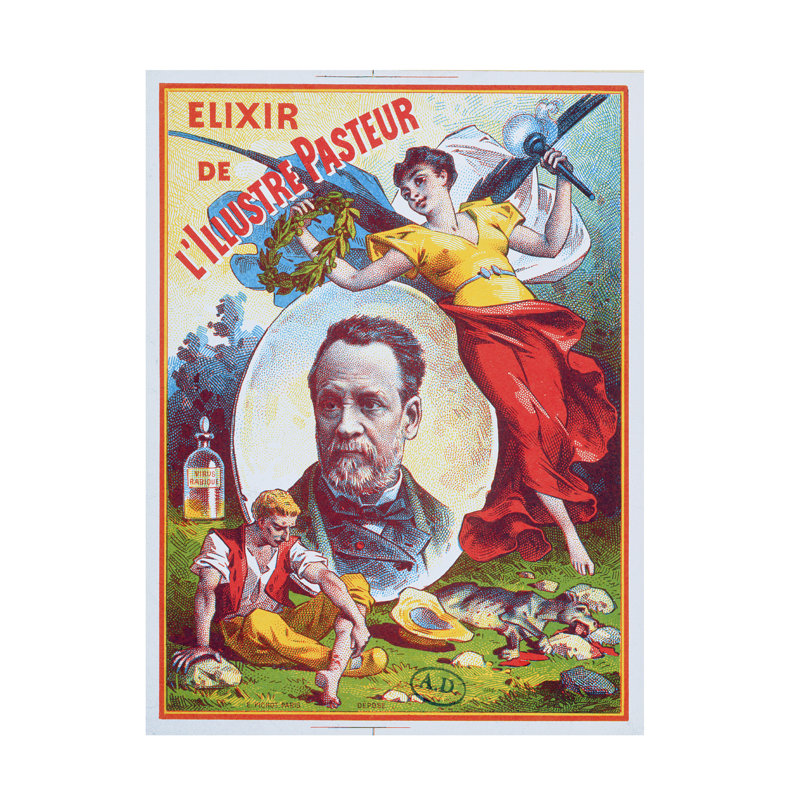 «French School Elixir De Lillustre Pasteur», art sur toile 1900, H 19 po x l 14 po