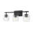 Braggs 3 Light Vanity-336220771