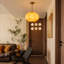 Lanterne suspendue rétro 1 lumière 14,96 po-1067839717
