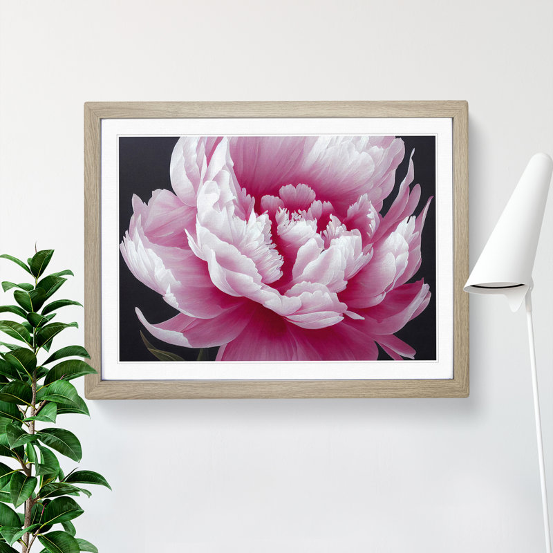 Splendid Peony Flower - Framed Print, 34cm H x 46cm W x 2cm D, Oak