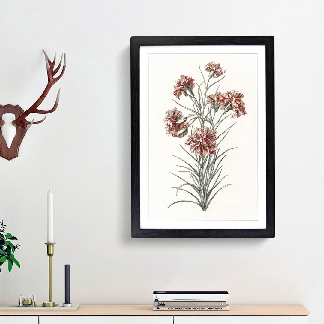Six Carnations by Johan Teyler - Picture Frame Painting Print