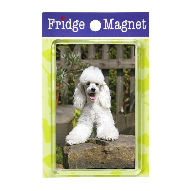 Fridge Magnet
