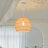 Turbeville 1 - Light Single Dome Pendant-764350608