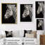Portrait de zèbre noir et blanc IV encadré sur toile-92007929-92007928