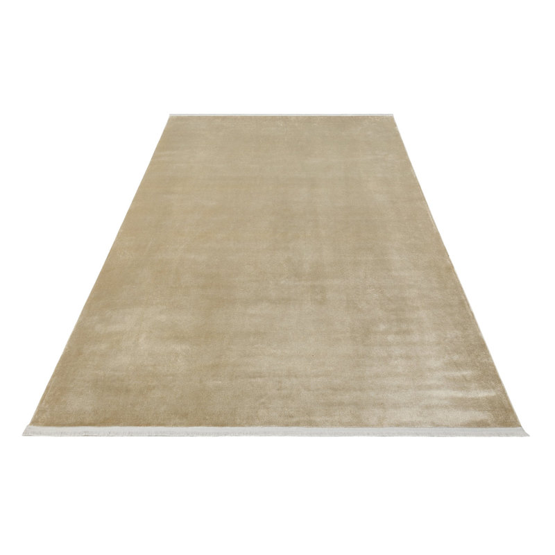 Liall 170cm X 240cm Area Rug