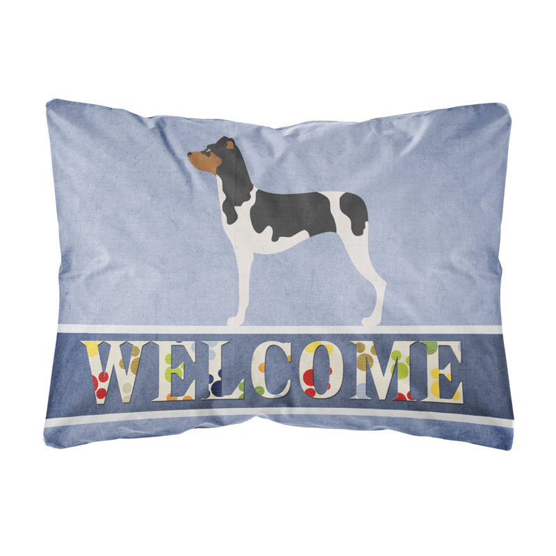  Coussin décoratif brésilien Terrier