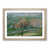 Oak Framed selected