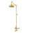 Supercoat Brass