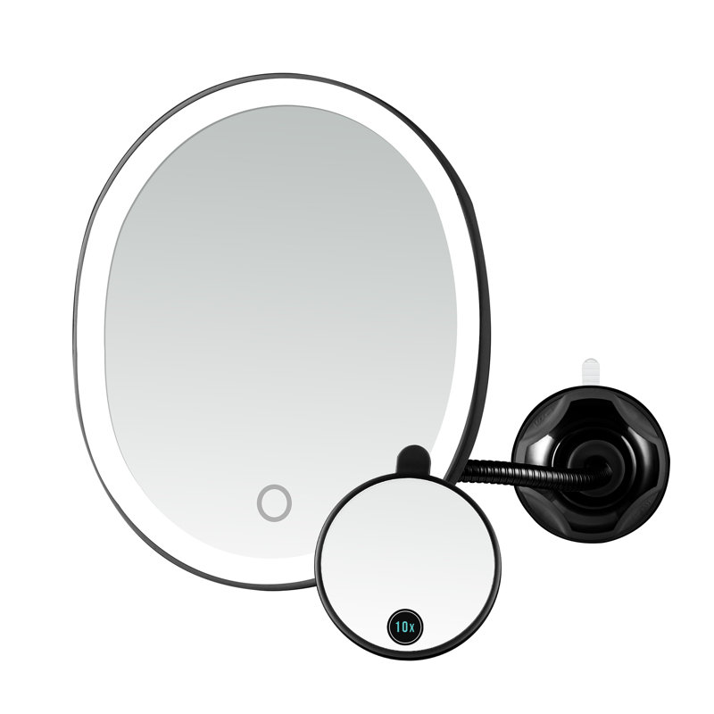 Antique Black Oval LED Wall Mounted Magnifying Mirror