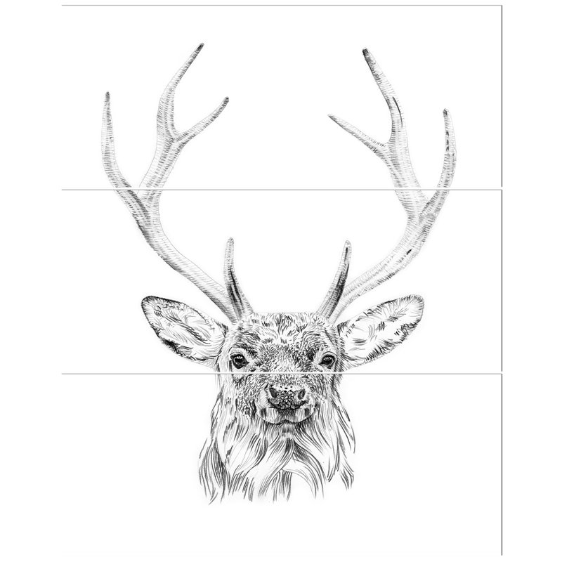 « crayon, esquisse de cerf en noir et blanc », reproduction d’art à multiples images sur toile
