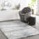 Aderyn Abstract Indoor Rug