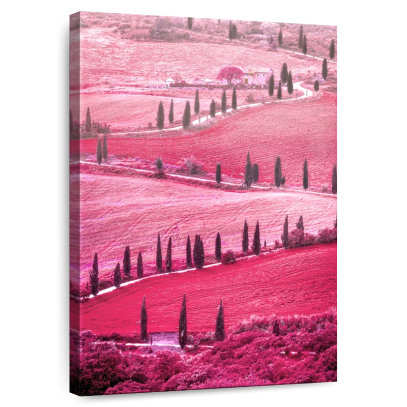 Vallée toscane rose d'Alvord, H 45 po x l 30 po