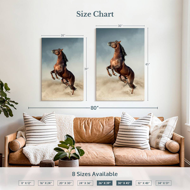 Brampt Brown Andalusian Horse, 39" H x 26" W