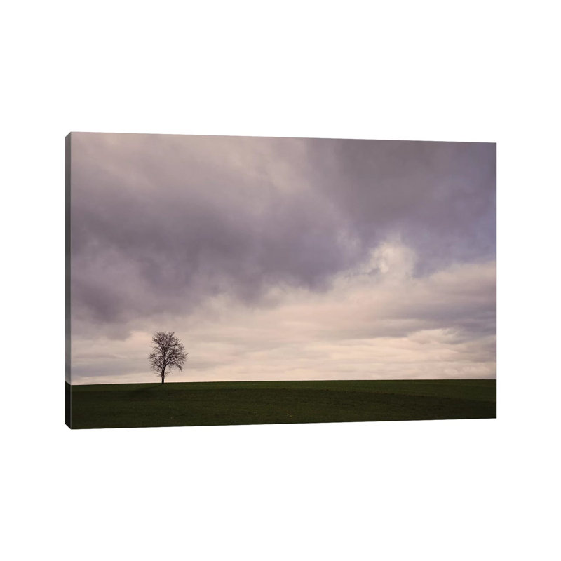 Lonely Tree by Lena Weisbek - Wrapped Canvas Print, 20.32 cm H x 30.48 cm W