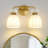 2-Light Dimmable Vanity Light with Glass Shades-302283387