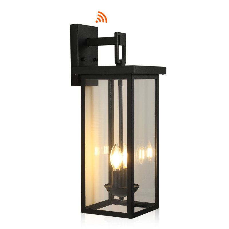 22 Inch Matte Black Dusk to Dawn Sensor Outdoor Wall Lantern 2-Light Clear Glass Weatherproof Porch Garage Light 1 Pack Bulb Not Included