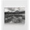 «Custer-Gallatin National Forest» par la collection Yellowstone, reproduction en noir et blanc du parc national de Yellowstone, photographie de la nature