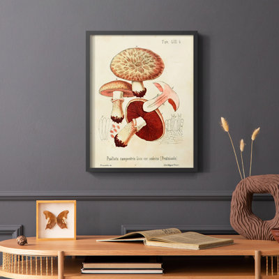 Reproduction encadrée Mushroom Variétés II - bois massif