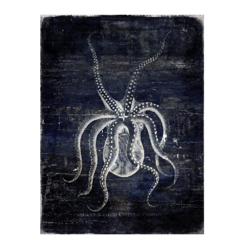 Pulpo - impression, Extérieur, L 16 po x H 24 po x P 1,5 po