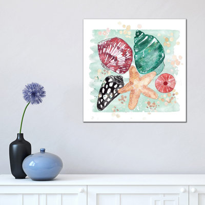 Beachcomber - Shell Medley by Sara Berrenson - Painting on Canvas