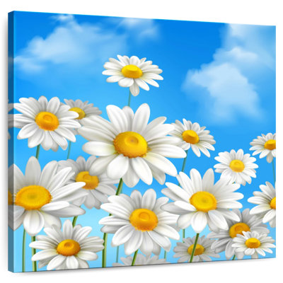 Marguerites bleu ciel Harnek