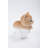 Teacup Kitten Tabby Statue-20582132