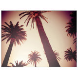 Dreamy Palms 2 Print by Mat Sanders