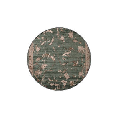 Machine Washable Brown Area Rug