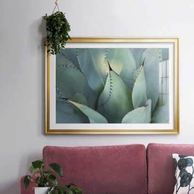 «Blue Agave I», impression sur papier