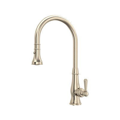 Patrizia Pull-Down Kitchen Faucet