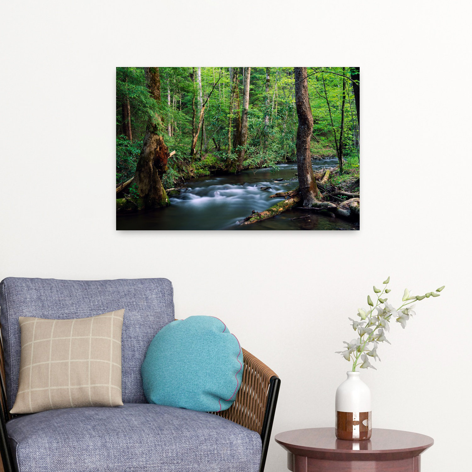 Union Rustic Rushing Stream Through Dense Forest Great Smoky Mountains ...