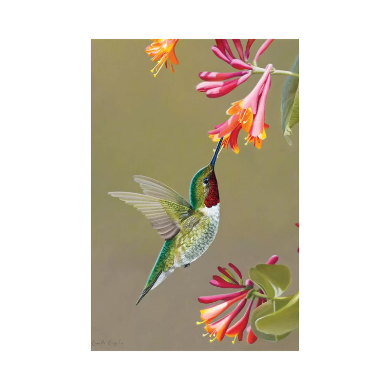 Close Encounter by Camille Engel - Wrapped Canvas Print, 101.6 cm H x 66.04 cm W x 3.175 cm D