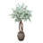 Silver Dollar Eucalyptus Tree in Stone Pot