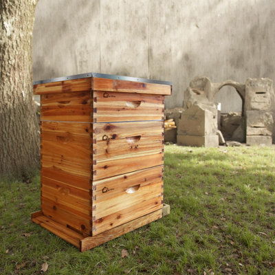 10 Frame Langstroth Bee Hive Complete Kit, Beeswax Dipped Cedar Wood Beehive, Includes 2 Deep Brood Boxes & 1 Medium Super Box, Frames and Waxed Foundations for Beekeepers