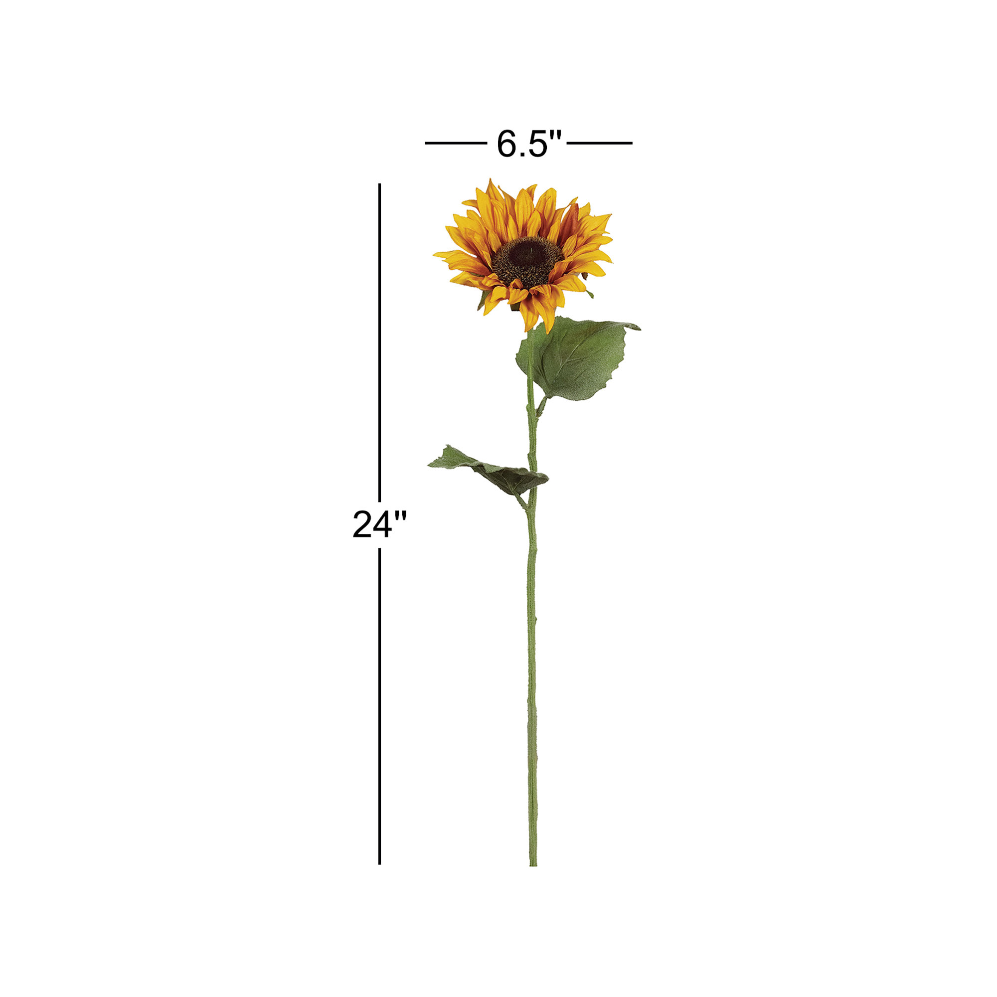 Kanode Sunflower Stem, 24" H x 6.5" W x 4" D