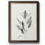 «Delicate Sage Botanical IV», peinture sur toile encadrée-1433696964