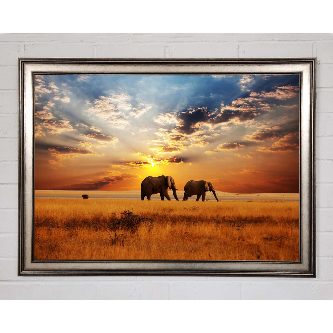 Gerahmtes Leinwandbild Elephant Duo Sunset