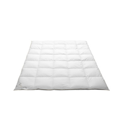 Traum Edition Gold Goose Light Warming Duvet