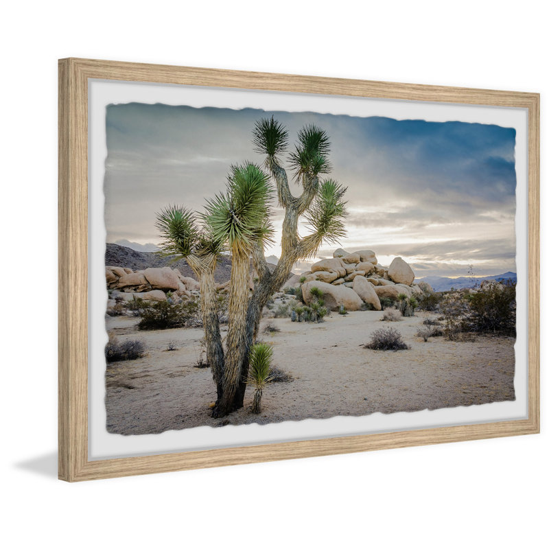 " Lone Joshua Tree ", 24" H x 36" W x 1.5" D