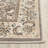 Petronella Viscose Oriental Rug in Ivory/Gray-19261749