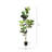 Bogalusa 6FT Artificial Fiddle Leaf Fig Tree