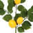 60'' in. Faux Lemon Garland