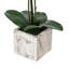 Phalaenopsis artificiel en pot 22 po Karelis-462425079