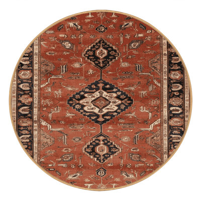 Machine Washable Persian Brown Area Rug
