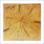 Table de bout MGO-1538700807