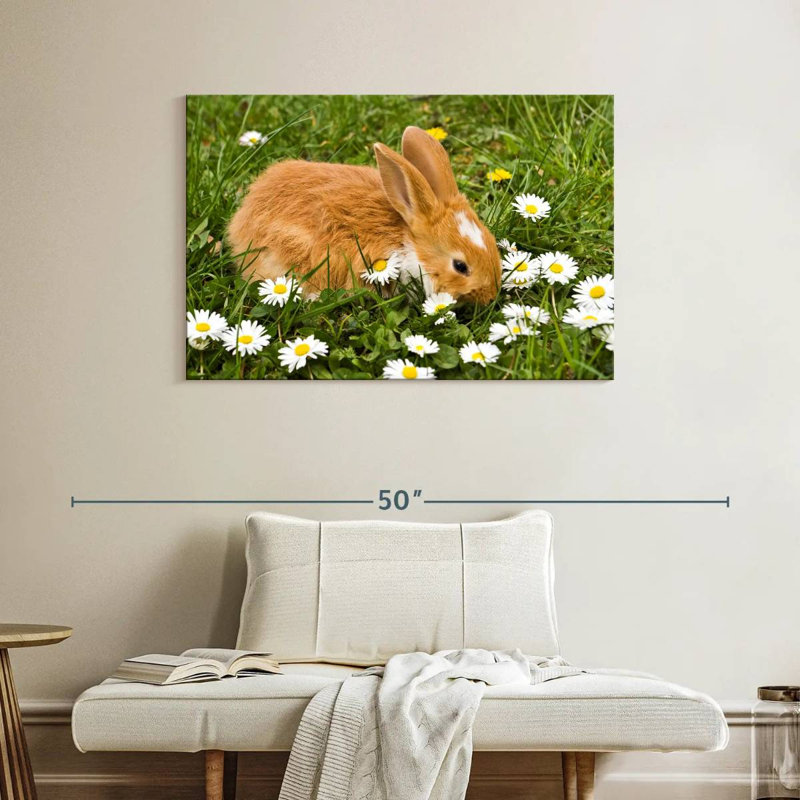 Brampt marguerites et lapin, H 26 po x l 39 po